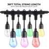 Bulbrite 36 ft. Plug-in Edison Bulb S14 Shatter Resistant LED Smart Black String Light 18 Sockets-Bulbs 814361